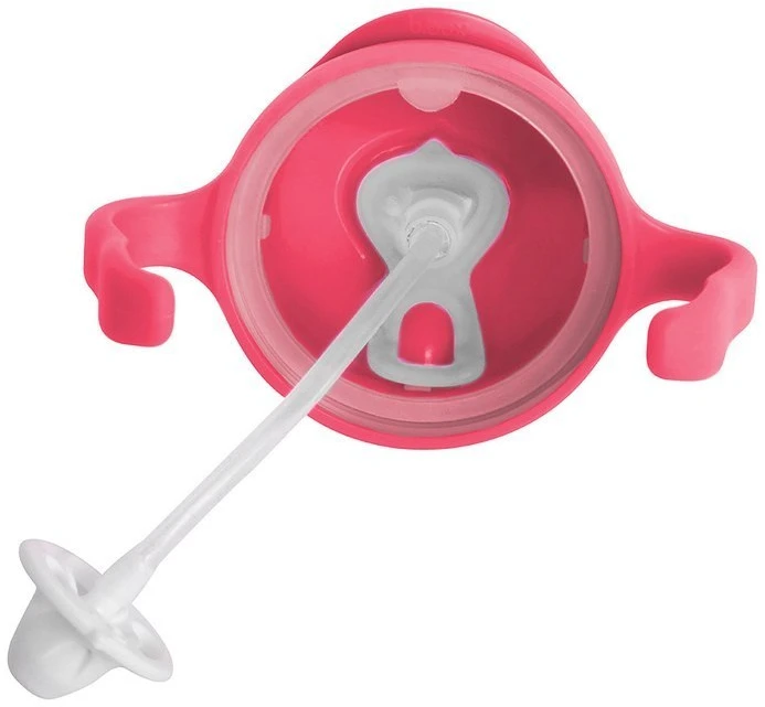 B.BOX BB00502 Vandens butelis su šiaudeliu 240 ml aviečių