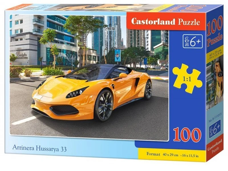 Castorland Dėlionė 100 vnt. - Arrinera Hussarya 33
