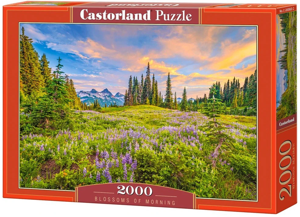 Castorland Dėlionė 2000 vnt. - Pievų žydėjimas