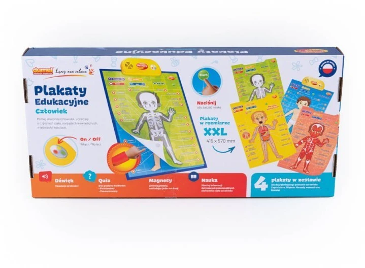 Plakatas Edukaciniai žmogaus anatomijos plakatai Dumel 4 vnt