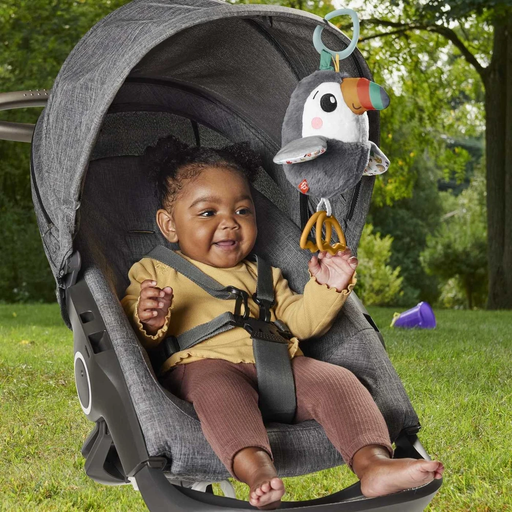Fisher Price „Tukano paukštis“