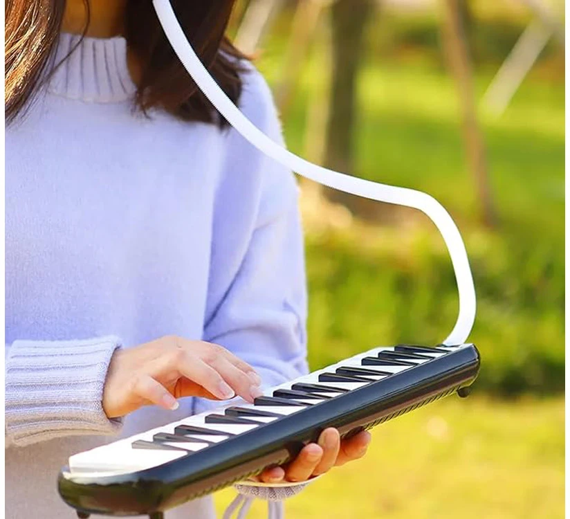Jokomisiada Muzikos instrumentas Melodija Klaviatūros armonikos dėklas su dviem kandikliais IN0175