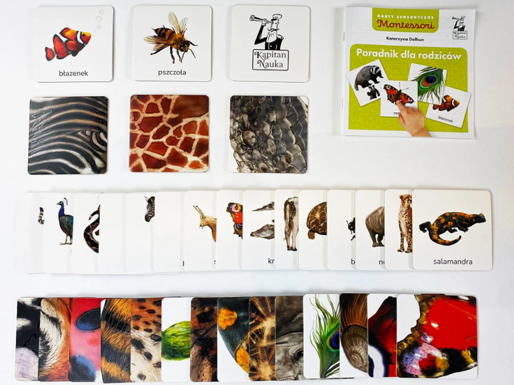 Kapitan Nauka Sensory cards. Animals 2+ Montessori educational ega KS1019