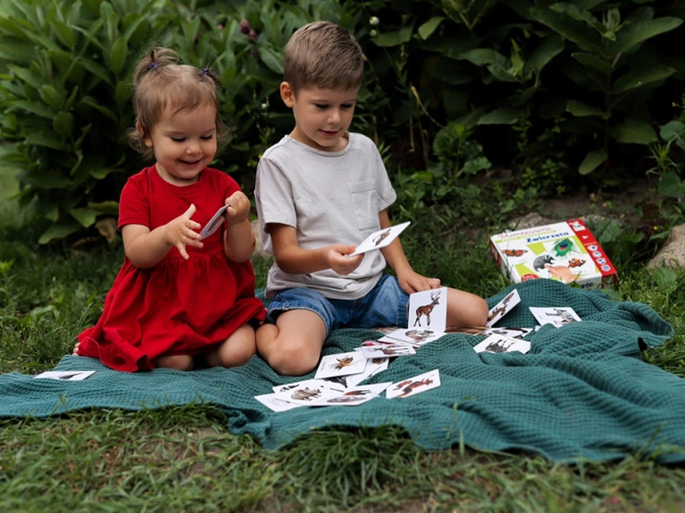 Kapitan Nauka Sensory cards. Animals 2+ Montessori educational ega KS1019