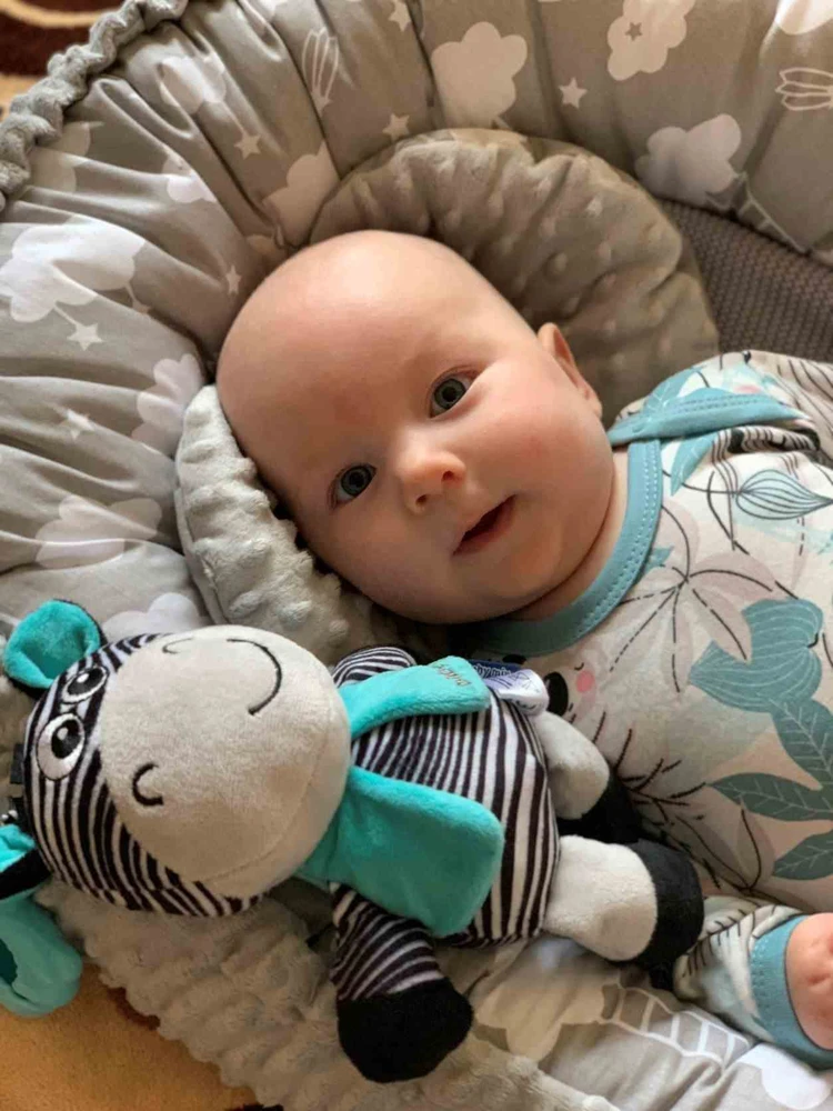 Lavinamasis pliušinis žaislas su segtuku Baby Mix zebras