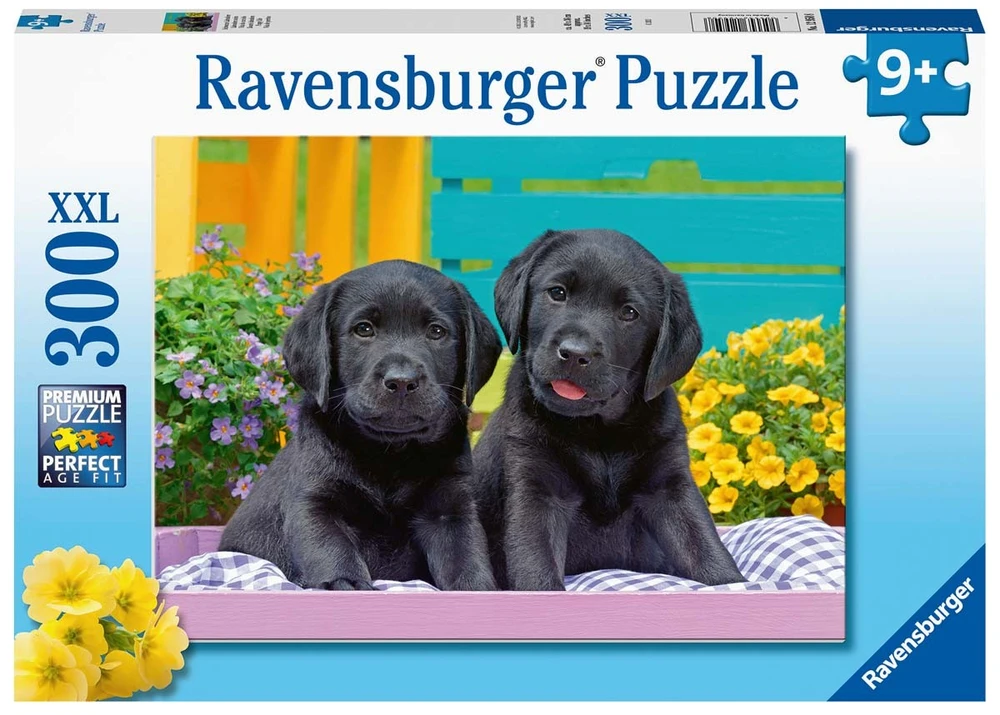 Ravensburger Dėlionė 300 vnt. - Maži lambradorai