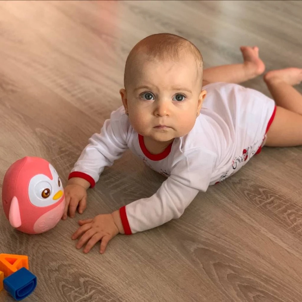 Supamas žaislas Baby Mix pingvinas rožinis