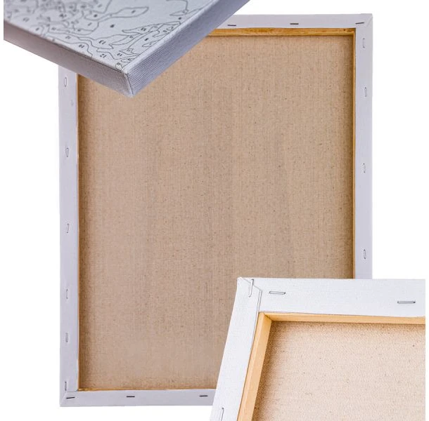 Tapyba pagal numerius balerina 40x50 cm drobėje su rėmu