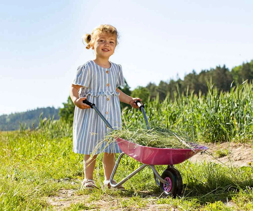 Rolly Toys Vaikiškas metalinis vežimėlis rožinis Milly Mally