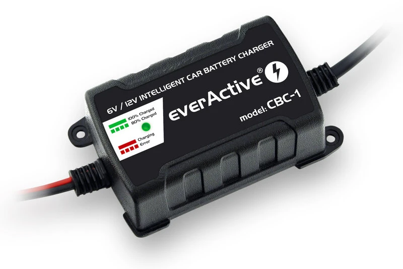 everActive universalus automatinis 6/12V 1000mA akumuliatorių kroviklis