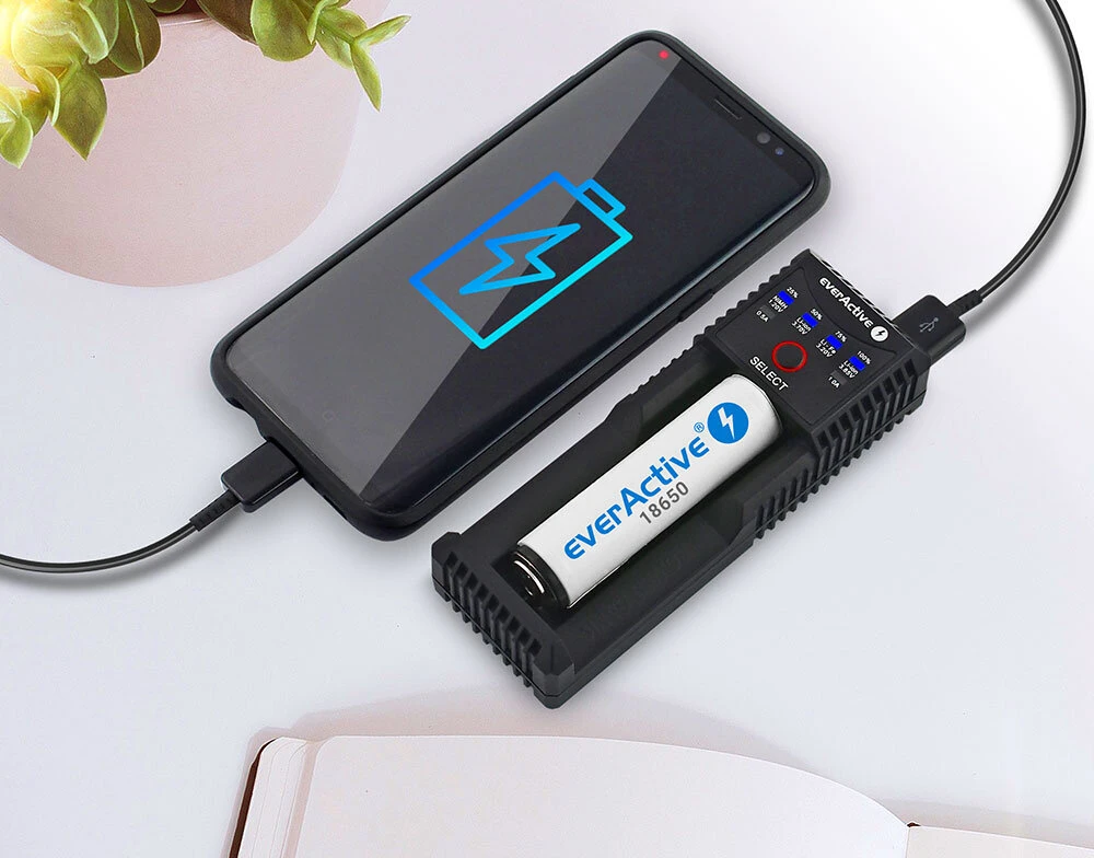 everActive universalus Li-Ion/LiFePO4 ir Ni-MH akumuliatorių kroviklis su Powerbank funkcija UC100C