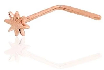 Diamond Sky Jewelry Auksinis nosies auskaras „North Star“