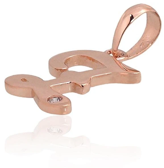 Diamond Sky Jewelry Auksinis raidės pakabukas su cirkoniais „Z IV“