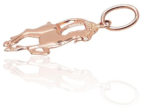 Diamond Sky Jewelry Auksinis zodiako ženklo pakabukas „Ožiaragis V“