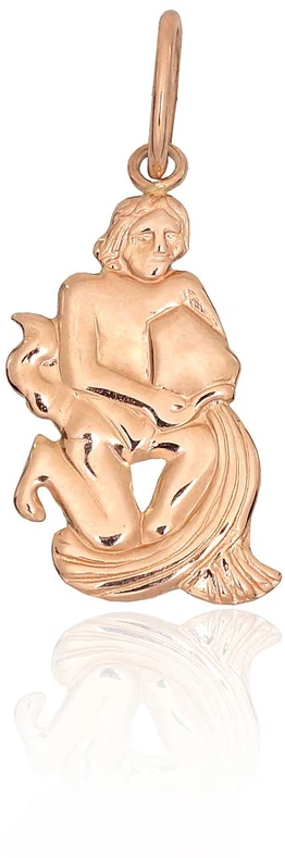 Diamond Sky Jewelry Auksinis zodiako ženklo pakabukas „Vandenis III“