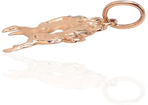Diamond Sky Jewelry Auksinis zodiako ženklo pakabukas „Dvyniai III“