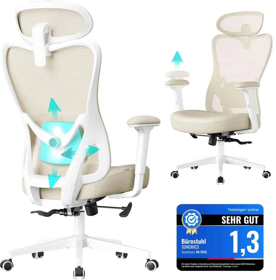 Songmics Ergonominė biuro kėdė su reguliuojama atrama