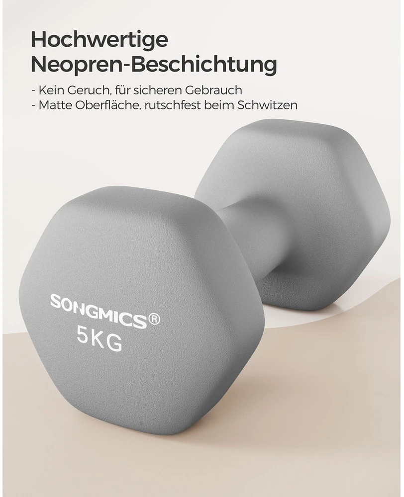 Songmics 2 pilkos spalvos hantelių rinkinys