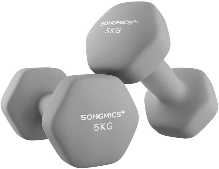 Songmics 2 pilkos spalvos hantelių rinkinys