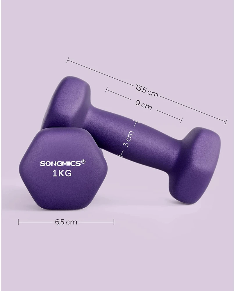 Songmics 2 violetinės spalvos hantelių rinkinys