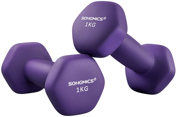 Songmics 2 violetinės spalvos hantelių rinkinys