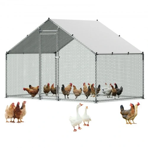 VEVOR Didelė metalinė vištidė, 3 x 2 x 2 m