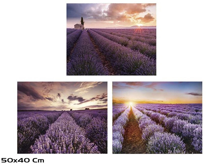 Grūdinto stiklo paveikslas, 3 dizainai, 0,30 × 50,00 × 40,00 cm, Decorlife