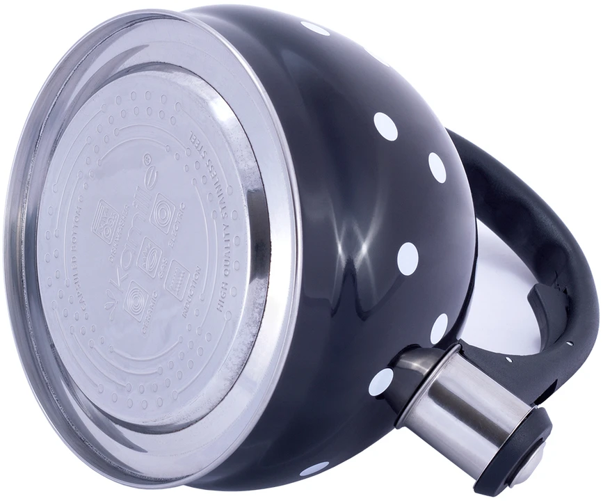 Kamille Arbatinukas iš nerūdijančio plieno 2l su švilpuku