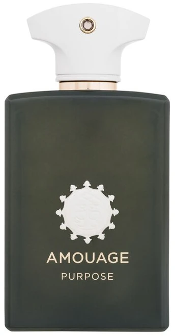 Amouage Purpose, 100 ml
