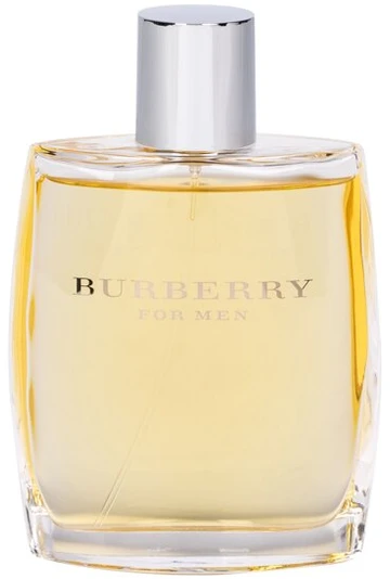 Kvepalai vyrams Burberry For Men EDT, 100 ml