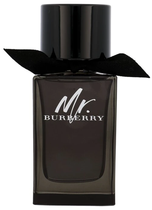 Burberry Mr. Burberry EDP parfumuotas vanduo vyrams, 100 ml