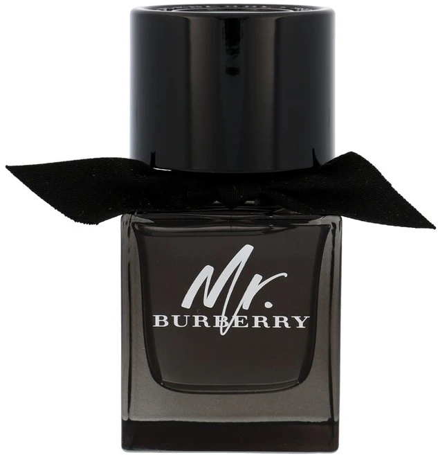 Mr Burberry EDP parfumuotas vanduo moterims, 50 ml