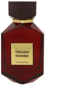 Camara Trojan Power EDP parfumuotas vanduo vyrams, 100 ml