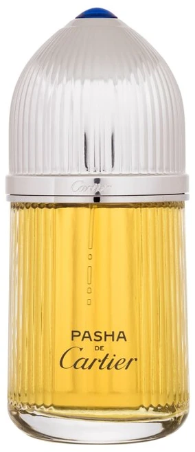 Cartier Pasha De Cartier PP kvepalai vyrams, 100 ml