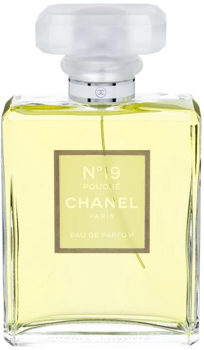 Chanel No 19 Poudre EDP parfumuotas vanduo moterims, 100 ml