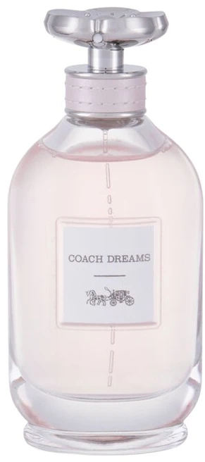 Testeris Coach Dreams EDP 90 ml