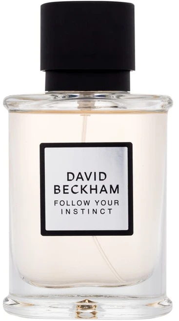 David Beckham Follow Your Instinct EDP parfumuotas vanduo vyrams, 50 ml