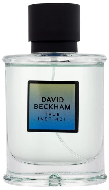 David Beckham True Instinct EDP parfumuotas vanduo vyrams, 75 ml