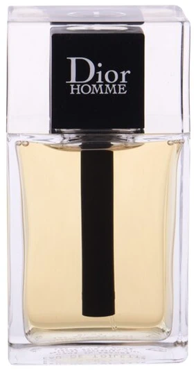 Kvepalai vyrams Christian Dior Homme EDT, 100 ml