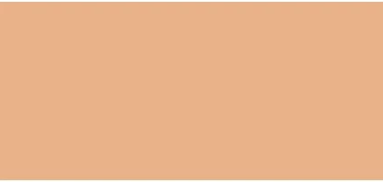 Makiažo pagrindas Dior Forever Skin Perfect Foundation Stick, spalva: 2W Warm, 10 g