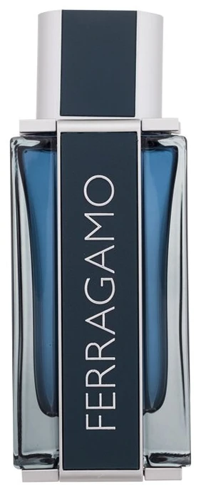 Salvatore Ferragamo Ferragamo Intense Leather EDP parfumuotas vanduo vyrams, 100 ml
