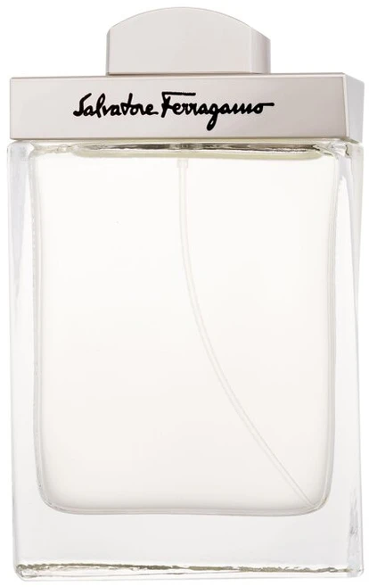 Salvatore Ferragamo Pour Homme EDT tualetinis vanduo vyrams, 100 ml