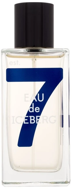 Iceberg Eau de Iceberg Cedar EDT tualetinis vanduo vyrams, 100 ml