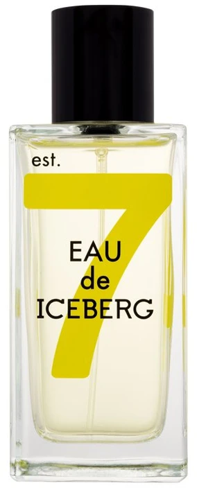 Iceberg Eau de Iceberg Italian Bergamot EDT tualetinis vanduo vyrams, 100 ml