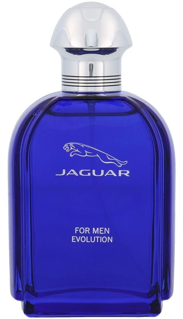 Kvepalai vyrams Jaguar Evolution EDT, 100 ml