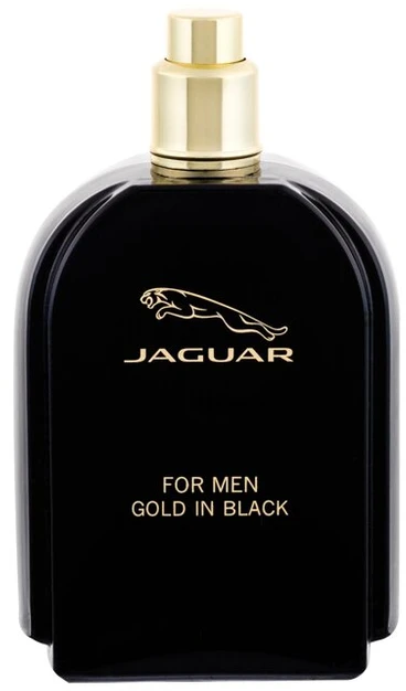 Kvepalai vyrams Jaguar For Men EDT, 100 ml