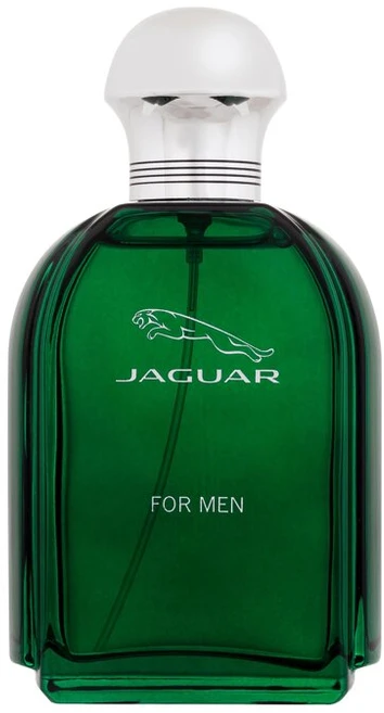 Kvepalai vyrams Jaguar For Men EDT, 100 ml