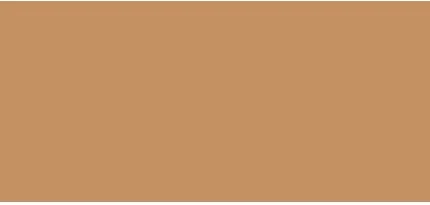 Kylie Cosmetics Power Plush Longwear maskavimo priemonė 5 ml