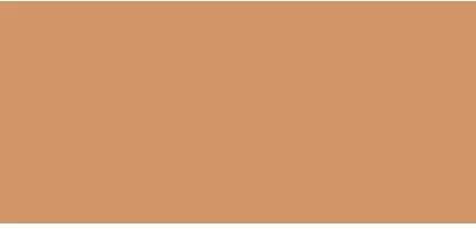 Kylie Cosmetics Power Plush Longwear maskavimo priemonė 5 ml