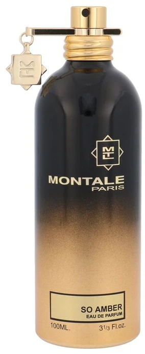 Montale Paris Montale So Amber